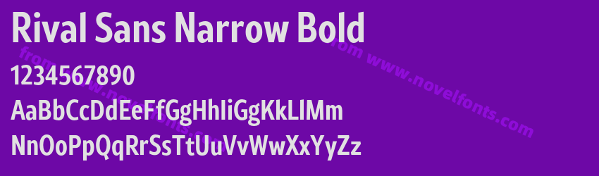 Rival Sans Narrow BoldPreview Rival Sans Narrow BoldPreview
