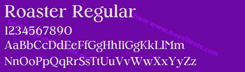 Roaster RegularPreview Roaster RegularPreview