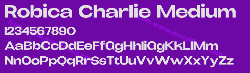 Robica Charlie MediumPreview Robica Charlie MediumPreview