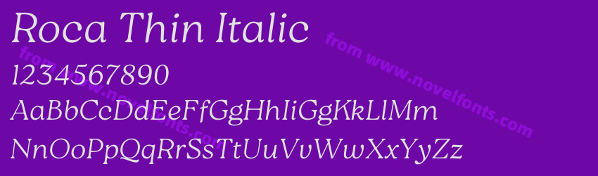 Roca Thin ItalicPreview Roca Thin ItalicPreview