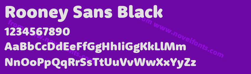 Rooney Sans BlackPreview Rooney Sans BlackPreview