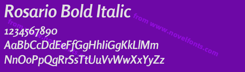 Rosario Bold ItalicPreview Rosario Bold ItalicPreview