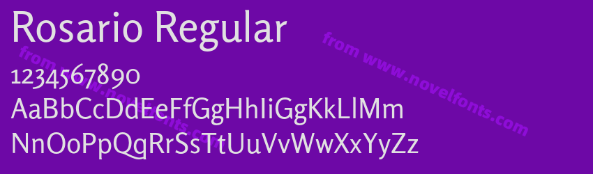 Rosario RegularPreview Rosario RegularPreview