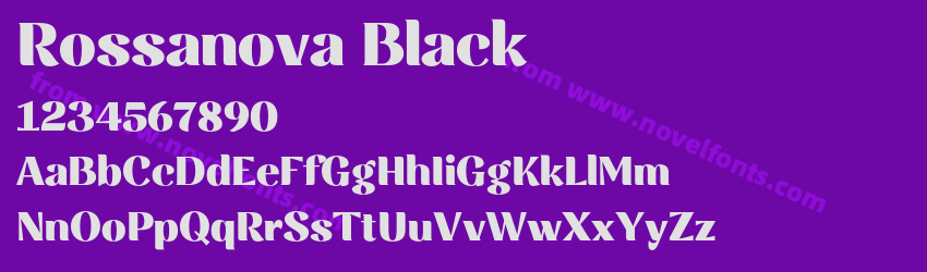 Rossanova BlackPreview Rossanova BlackPreview