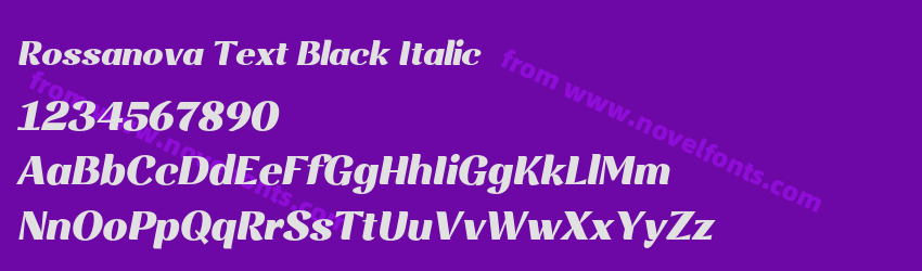 Rossanova Text Black ItalicPreview Rossanova Text Black ItalicPreview