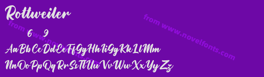 RottweilerPreview RottweilerPreview