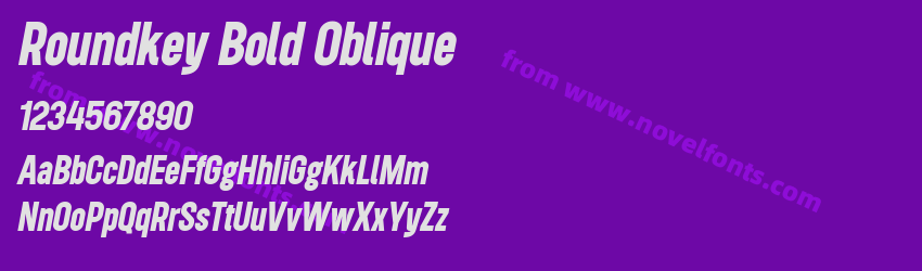 Roundkey Bold ObliquePreview Roundkey Bold ObliquePreview