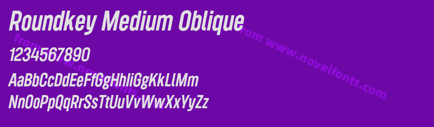 Roundkey Medium ObliquePreview Roundkey Medium ObliquePreview