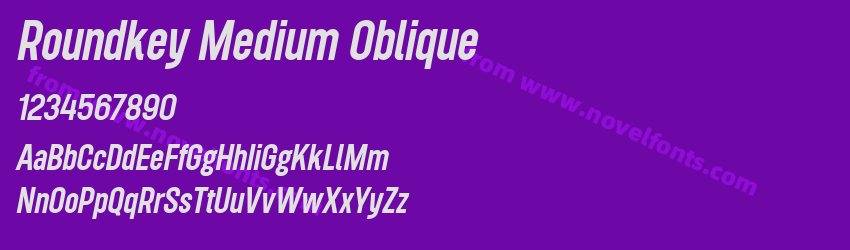 Roundkey Medium ObliquePreview Roundkey Medium ObliquePreview