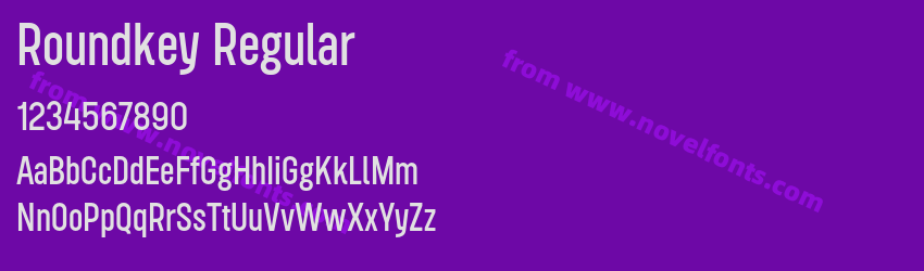 Roundkey RegularPreview Roundkey RegularPreview