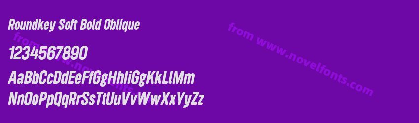 Roundkey Soft Bold ObliquePreview Roundkey Soft Bold ObliquePreview