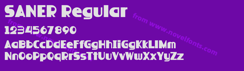 SANER RegularPreview SANER RegularPreview