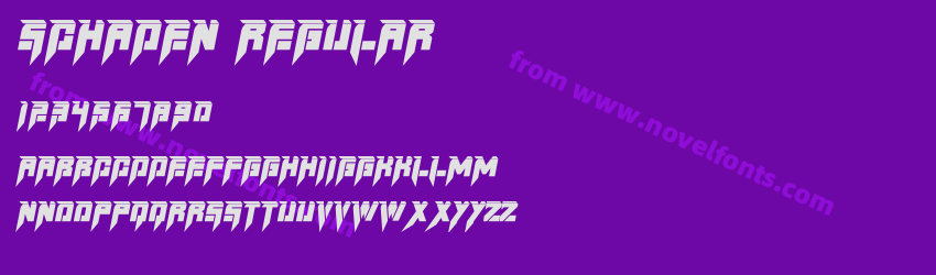SCHADEN RegularPreview SCHADEN RegularPreview