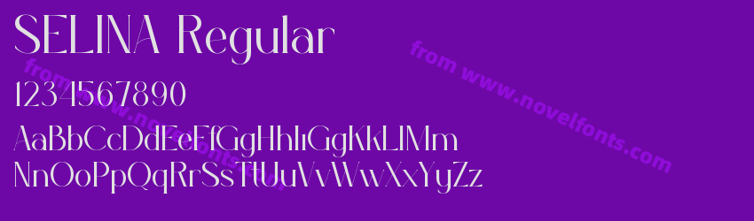 SELINA RegularPreview SELINA RegularPreview