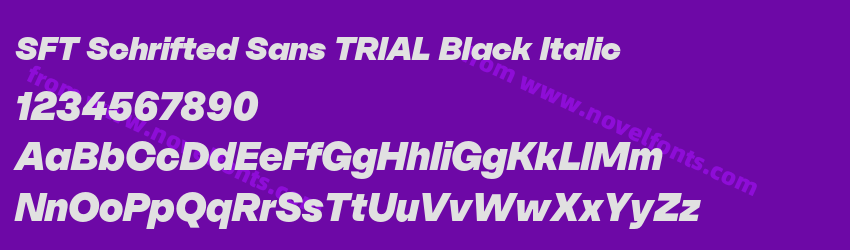 SFT Schrifted Sans TRIAL Black ItalicPreview SFT Schrifted Sans TRIAL Black ItalicPreview