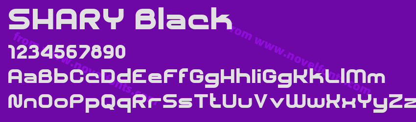 SHARY BlackPreview SHARY BlackPreview