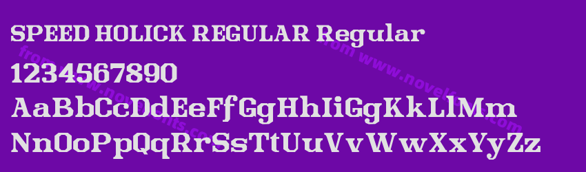 SPEED HOLICK REGULAR RegularPreview SPEED HOLICK REGULAR RegularPreview