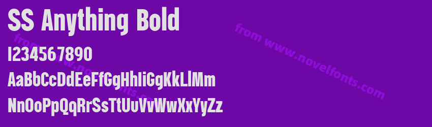 SS Anything BoldPreview SS Anything BoldPreview