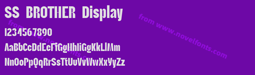 SS BROTHER DisplayPreview SS BROTHER DisplayPreview