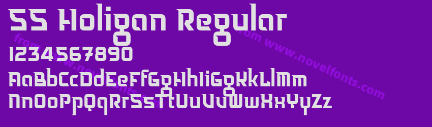 SS Holigan RegularPreview SS Holigan RegularPreview