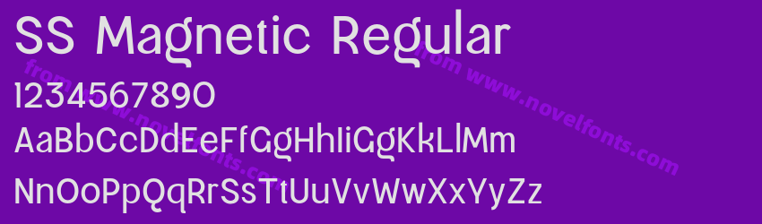 SS Magnetic RegularPreview SS Magnetic RegularPreview