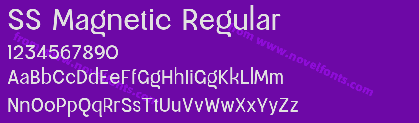 SS Magnetic RegularPreview SS Magnetic RegularPreview