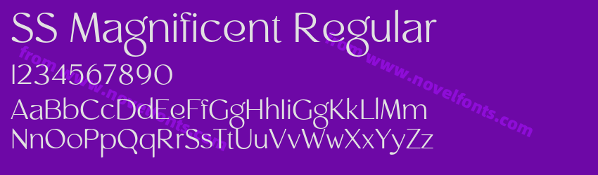 SS Magnificent RegularPreview SS Magnificent RegularPreview