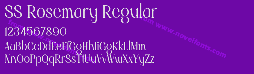 SS Rosemary RegularPreview SS Rosemary RegularPreview