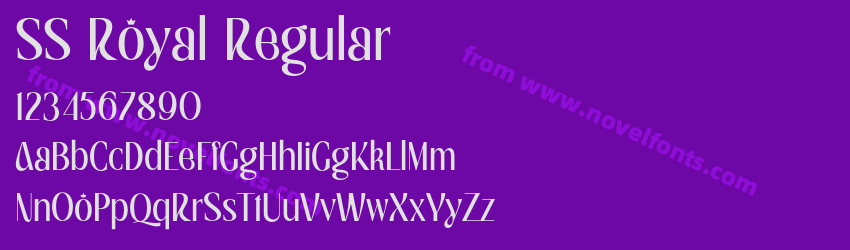 SS Royal RegularPreview SS Royal RegularPreview