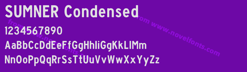 SUMNER CondensedPreview SUMNER CondensedPreview