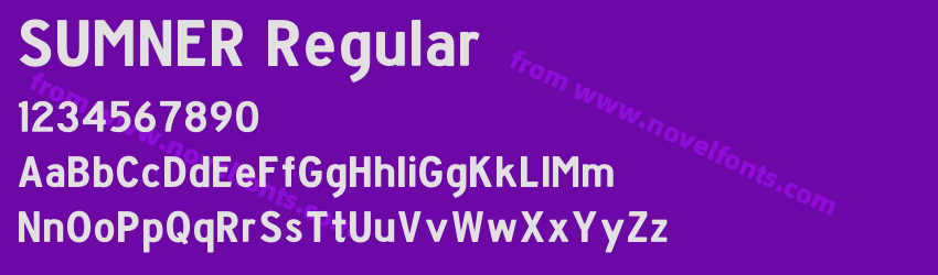 SUMNER RegularPreview SUMNER RegularPreview