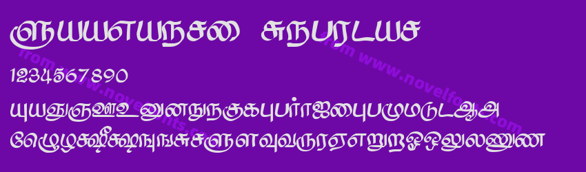 Saavaeri RegularPreview Saavaeri RegularPreview