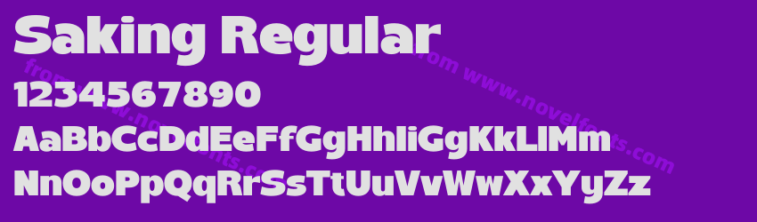 Saking RegularPreview Saking RegularPreview
