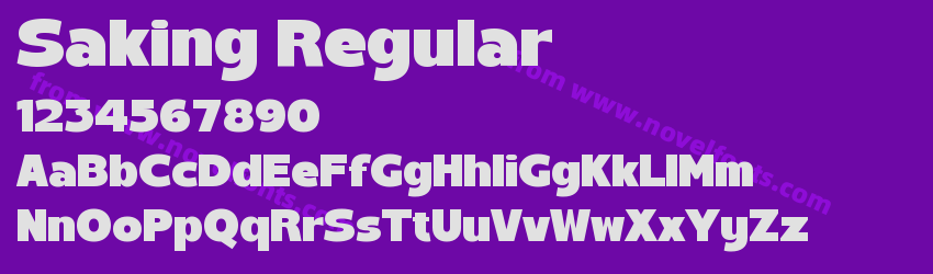 Saking RegularPreview Saking RegularPreview