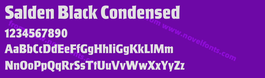 Salden Black CondensedPreview Salden Black CondensedPreview
