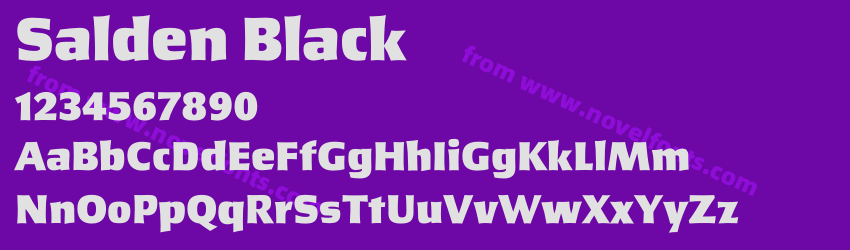 Salden BlackPreview Salden BlackPreview