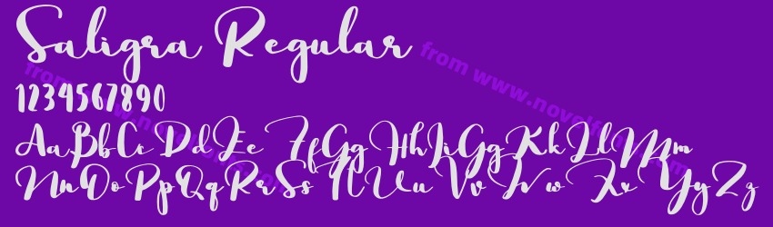Saligra RegularPreview Saligra RegularPreview