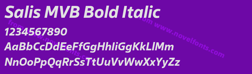 Salis MVB Bold ItalicPreview