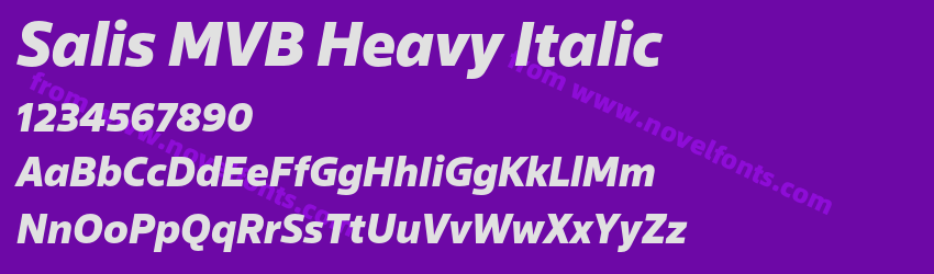 Salis MVB Heavy ItalicPreview