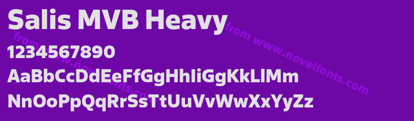 Salis MVB HeavyPreview