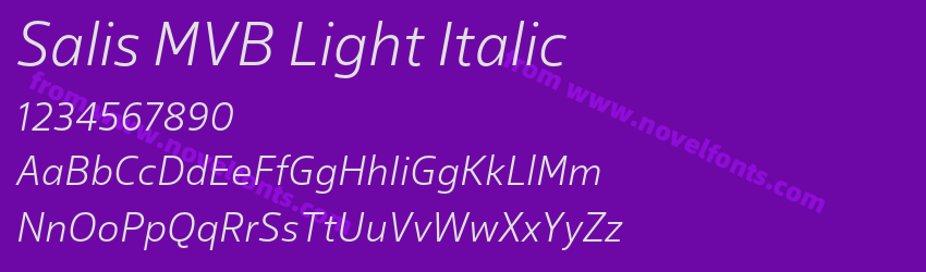 Salis MVB Light ItalicPreview