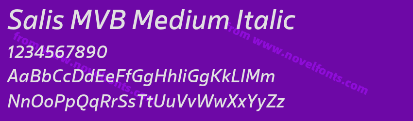 Salis MVB Medium ItalicPreview