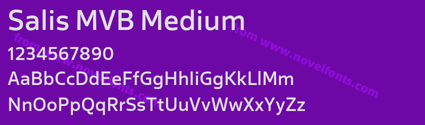 Salis MVB MediumPreview