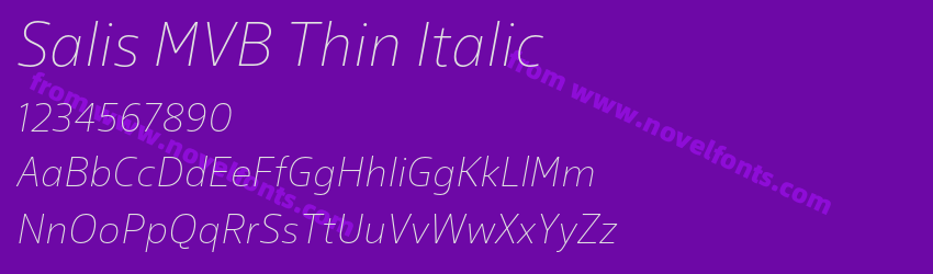 Salis MVB Thin ItalicPreview