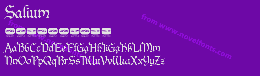 SaliumPreview SaliumPreview