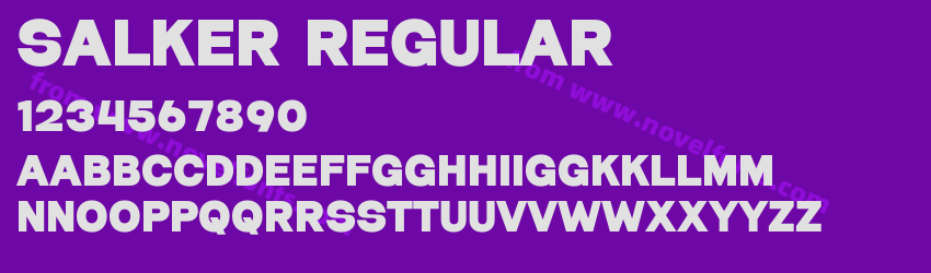 Salker RegularPreview Salker RegularPreview