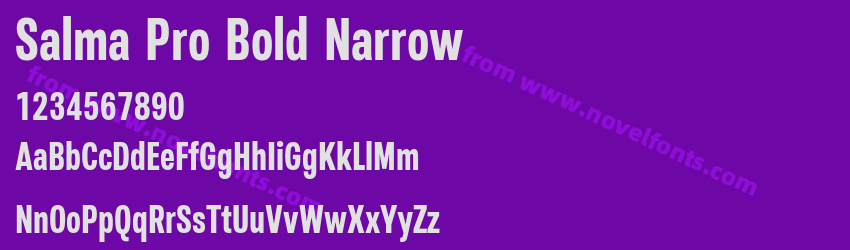 Salma Pro Bold NarrowPreview Salma Pro Bold NarrowPreview