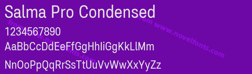 Salma Pro CondensedPreview Salma Pro CondensedPreview