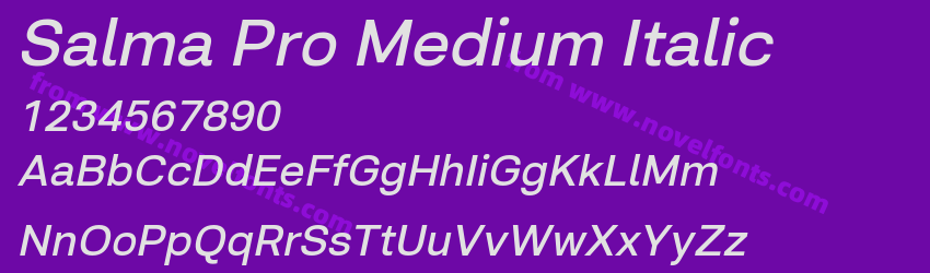 Salma Pro Medium ItalicPreview Salma Pro Medium ItalicPreview