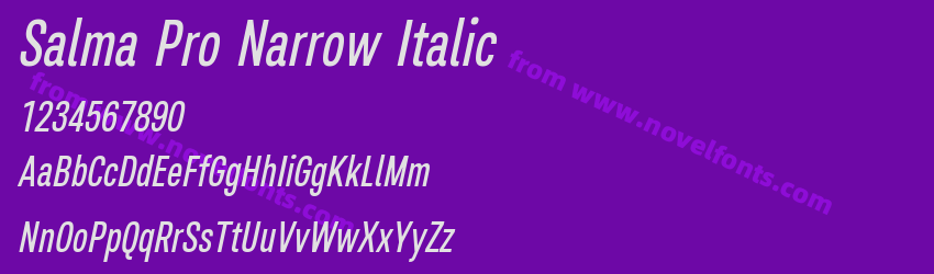 Salma Pro Narrow ItalicPreview Salma Pro Narrow ItalicPreview